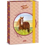 Ars Una Кутия за тетрадки ARS UNA A/4 My Sweet Horse 50853588 (50853588)