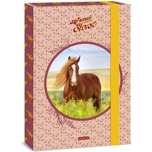 Ars Una Кутия за тетрадки ARS UNA A/4 My Sweet Horse 50853588 (50853588)