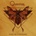 QUANTUM - DOWN THE MOUNTAINSIDE CD