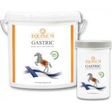 Equine74 Gastric Přírodní směs proti žaludečním vředům pelety 2 kg