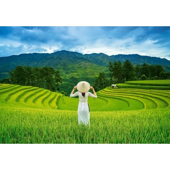 Castorland - Puzzle Rice Fields in Vietnam - 1 000 piese