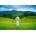 Castorland - Puzzle Rice Fields in Vietnam - 1 000 piese