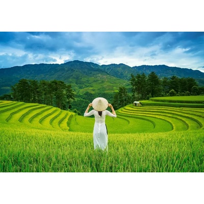 Castorland - Puzzle Rice Fields in Vietnam - 1 000 piese