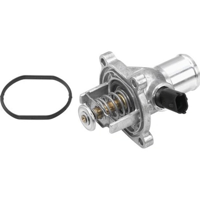 BorgWarner (Wahler) Termostat WAHLER (WH 4431.105D)