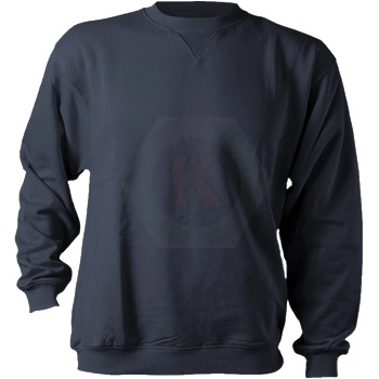STENSO Блуза с дълъг ръкав сива от S до 4XL Remo Sweatshirt (07364)