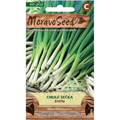 MORAVOSEED CZ Cibule zimní ENTITA, sečka