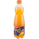 Caprio Hustý Jablko mango 0,7 l