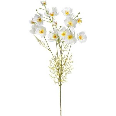 Rostlina kosmos 90 cm - bílá