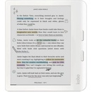 Kobo Libra Colour (N428)