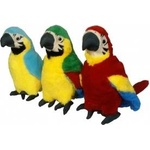 Swede Parrot