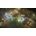 Pathfinder: Kingmaker