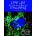 Live Cell Imaging - Robert D. Goldman