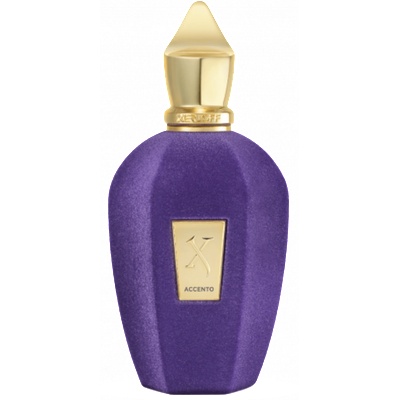 Xerjoff Accento Eau De Parfum 100 ML Male