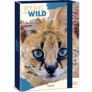 Ars Una Icons of the Wild-Serval 25 (5503) A4 брошура кутия 50855032 (50855032)