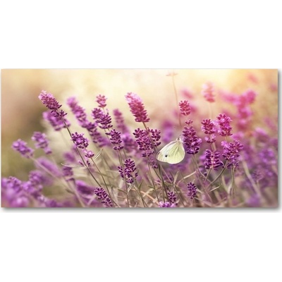 Fotoobraz na skle levanduľa 100x50 cm