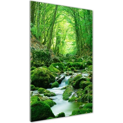 Vertikálny fotoobraz na skle Potok v džungli 50x100 cm