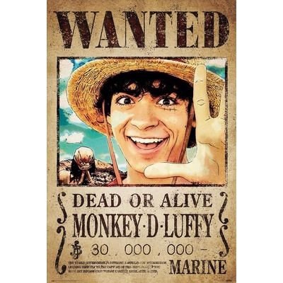 Plakát 61x91,5cm - One Piece: Wanted monkey