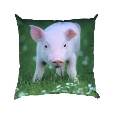 Dadka Foto vankúš Prasátko 40x40