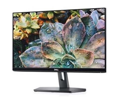 Dell SE2219H
