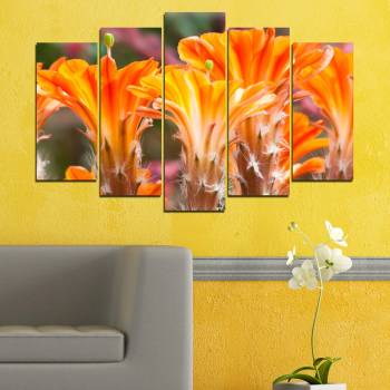 Vivid Home Декоративни панели Vivid Home от 5 части, Цветя, PVC, 160x100 см, Стандартна форма №0487
