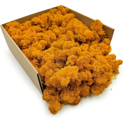 Mech Chrobotek Sobí - Finský - Čištěný - Tmavě žlutý 250g NETTO