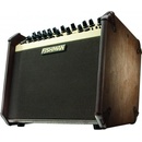 Fishman LOUDBOX ARTIST