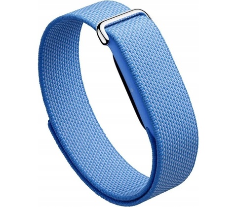 Google Fitbit Air