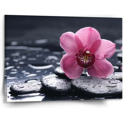 Sablio Obraz Orchidej - 150x110 cm