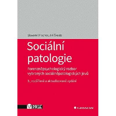 Sociální patologie