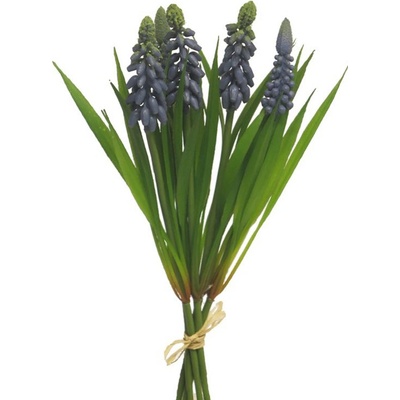 Modřenec - Muscari svazek s trávou modrý V26 cm