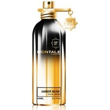 Montale Paris Amber Musk parfumovaná voda unisex 100 ml
