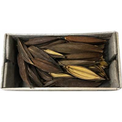 Boat mini, box 75 ks