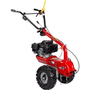 Eurosystems P70 Evo Loncin (986600600) Моторен тример