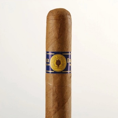 Santa Damiana Robusto