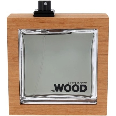 Dsquared Rocky Mountain Wood toaletná voda pánska 100 ml tester