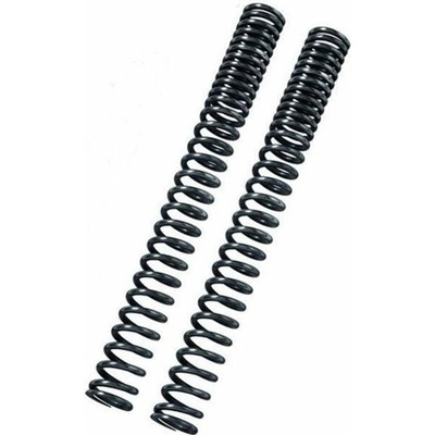 BITUBO Fork springs kit BITUBO Progressive (+1 Lt. Oil)