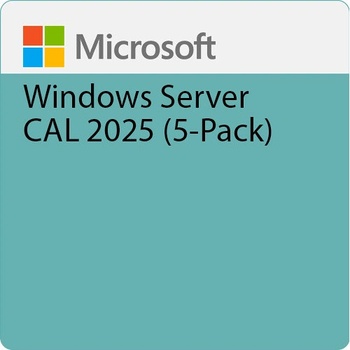 Microsoft Windows Server CAL 2025 ENG (EP2-25243)