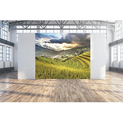 Fotoobraz Sawah 300x250 cm