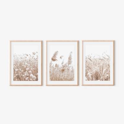 Set 3 obrazů - PAMPAS GRASS Velikost: 21 x 30, Varianta: Bez pasparty - fotka do okrajů