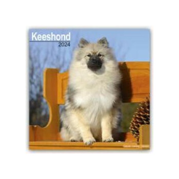 Keeshond Calendar 2024 Square Dog Breed Wall Calendar - 16 Month