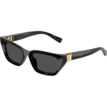 Dolce&Gabbana DG4532 501/87 (DG4532 501/87)