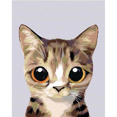 zuty Malování podle čísel Okatá mourovatá kočička 80 x 100 cm bez rámu a bez vypnutí plátna