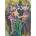 Anatolian - Puzzle Color trio - 1 000 piese