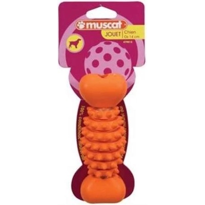 Zolux kost tvrdá guma 20 cm