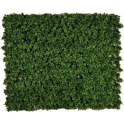 Umělý živý plot ŠEFLERA EXT DELUXE SVĚTLÁ výška 100cm x šířka 200cm