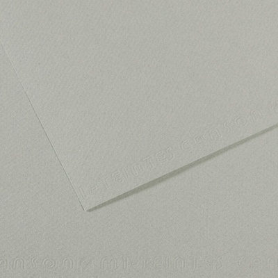 Canson Mi-Teintes 50x65 cm Gris Ciel 354 160 g Цветна хартия (C200331414)