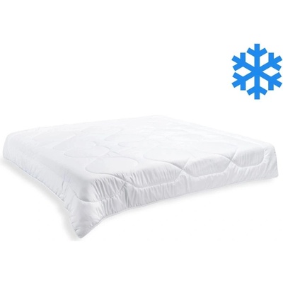 Brotex Prikrývka Thermo zimná 2400 g 200x200