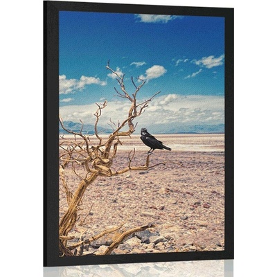 Plakát vrána v zemi sucha - 60x90 no frame