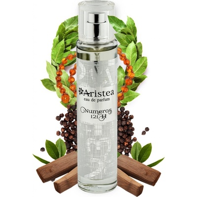 Aristea Numeros 121 H parfémovaná voda pánská 50 ml