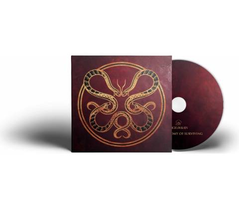 Vicious Rain - Anatomy CD
